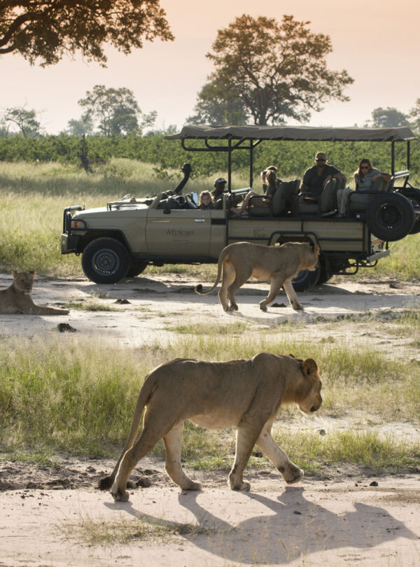 Hwange 1
